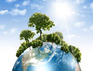environmental-management-policy